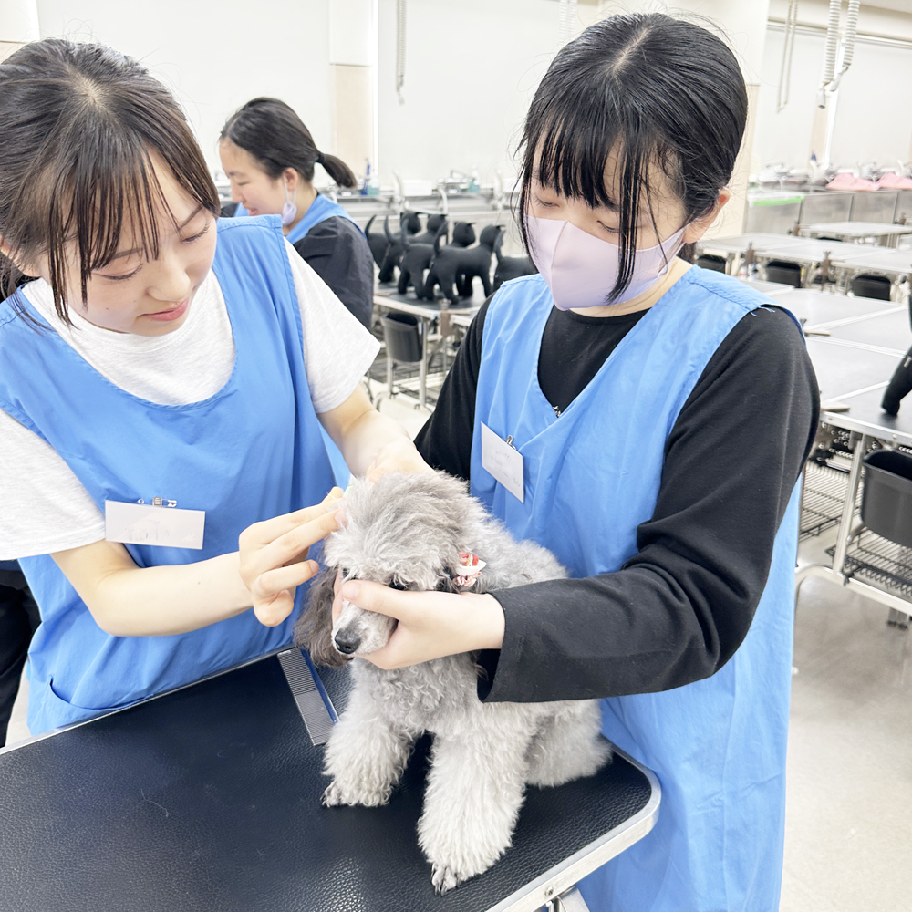 高校３年生対象！入学前のプレ授業♪